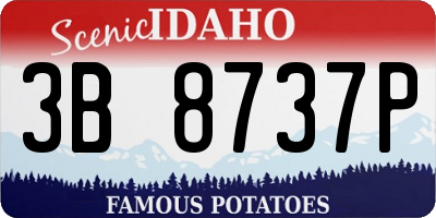 ID license plate 3B8737P