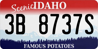 ID license plate 3B8737S