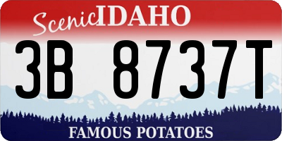 ID license plate 3B8737T