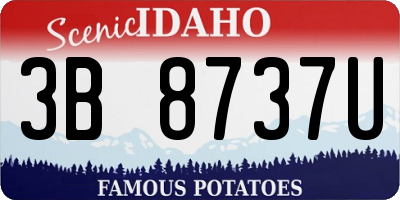 ID license plate 3B8737U