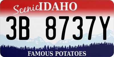 ID license plate 3B8737Y