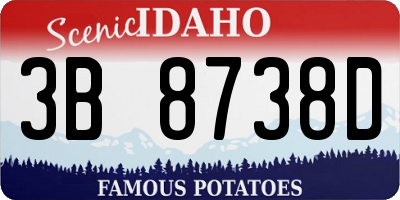 ID license plate 3B8738D