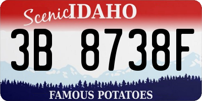 ID license plate 3B8738F