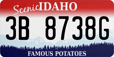 ID license plate 3B8738G