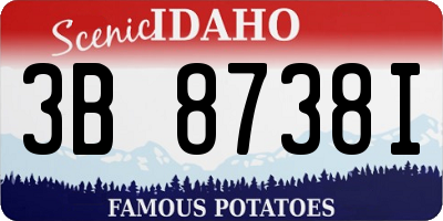 ID license plate 3B8738I