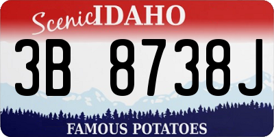 ID license plate 3B8738J