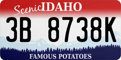 ID license plate 3B8738K