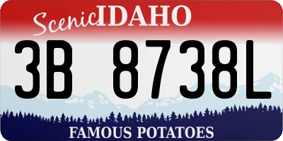 ID license plate 3B8738L