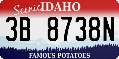 ID license plate 3B8738N