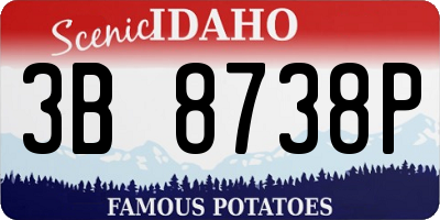ID license plate 3B8738P