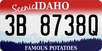 ID license plate 3B8738Q