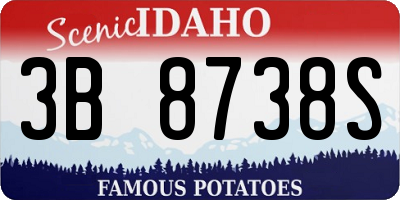 ID license plate 3B8738S