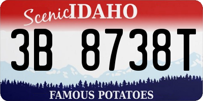 ID license plate 3B8738T