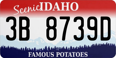 ID license plate 3B8739D