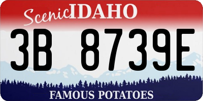 ID license plate 3B8739E