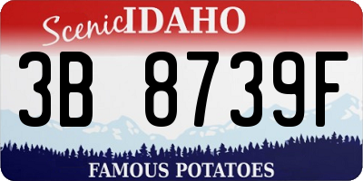 ID license plate 3B8739F