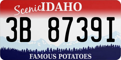 ID license plate 3B8739I
