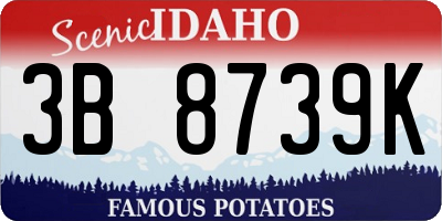 ID license plate 3B8739K