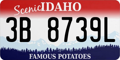 ID license plate 3B8739L