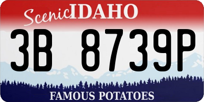 ID license plate 3B8739P