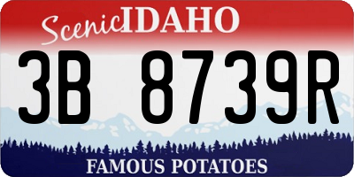ID license plate 3B8739R