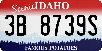 ID license plate 3B8739S