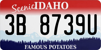 ID license plate 3B8739U