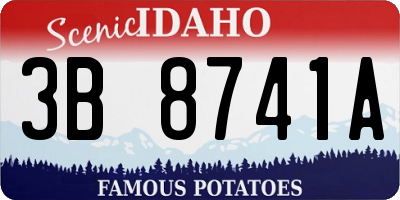 ID license plate 3B8741A