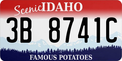 ID license plate 3B8741C