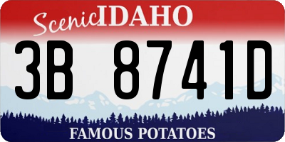 ID license plate 3B8741D