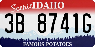 ID license plate 3B8741G