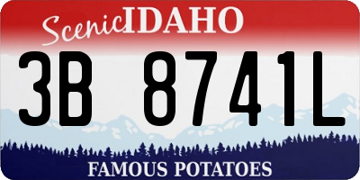 ID license plate 3B8741L