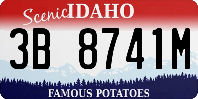 ID license plate 3B8741M