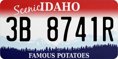 ID license plate 3B8741R