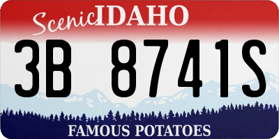 ID license plate 3B8741S