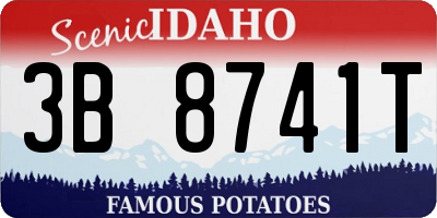 ID license plate 3B8741T