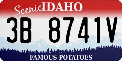ID license plate 3B8741V