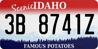 ID license plate 3B8741Z