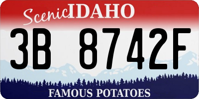 ID license plate 3B8742F
