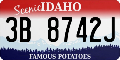 ID license plate 3B8742J