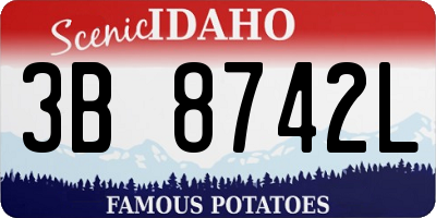 ID license plate 3B8742L