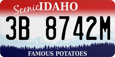 ID license plate 3B8742M
