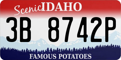 ID license plate 3B8742P