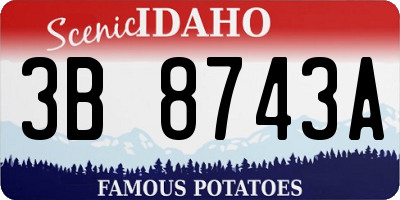 ID license plate 3B8743A