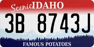 ID license plate 3B8743J