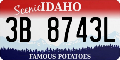 ID license plate 3B8743L