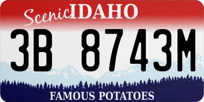 ID license plate 3B8743M