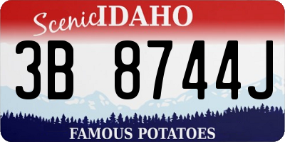 ID license plate 3B8744J