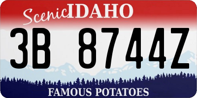 ID license plate 3B8744Z