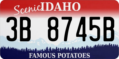 ID license plate 3B8745B